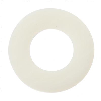 Picture of Nylon Washer
