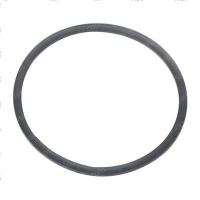 Picture of Ring - Backup Urethane