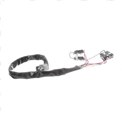 Picture of Switch Assembly