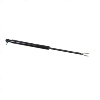 Picture of Gas Spring