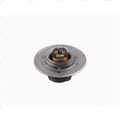 Picture of Thermostat