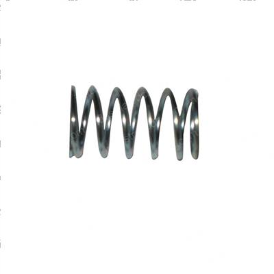 Picture of Return Spring