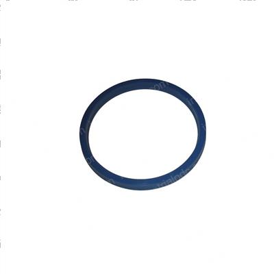 Picture of Seal