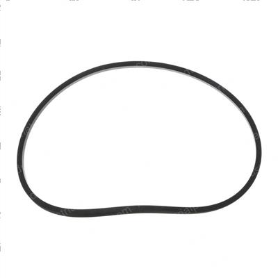 Picture of Seal