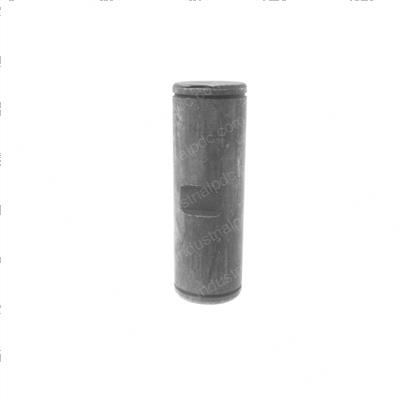 Picture of Pin