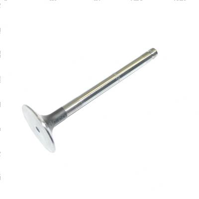 Picture of Inlet Valve