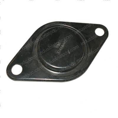 Picture of Plate