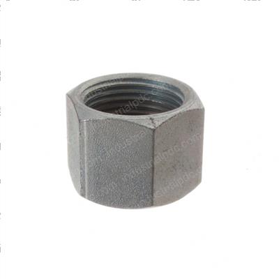 Picture of Nut