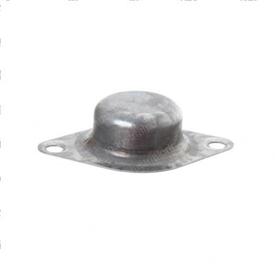 Picture of Capsule