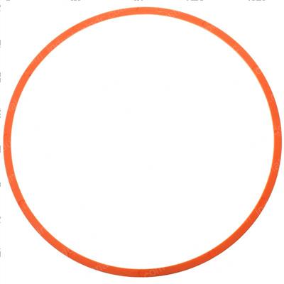 Picture of Ring - Back Up
