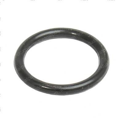 Picture of O-Ring