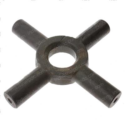 Picture of Spider