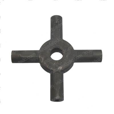 Picture of Spider