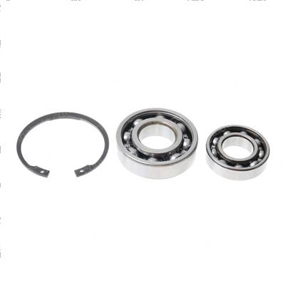 Picture of Bearing Kit