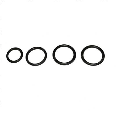 Picture of Seal Kit
