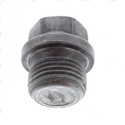 Picture of Plug