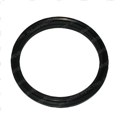 Picture of Seal