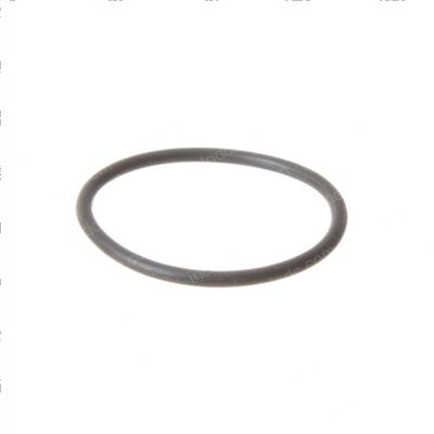 Picture of O-Ring