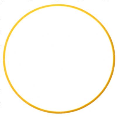 Picture of Back-Up O-Ring