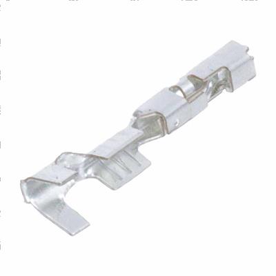 Picture of Terminal Female