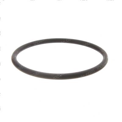 Picture of O-Ring