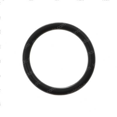Picture of O-Ring