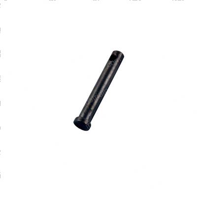 Picture of Pin - Chain Anchor