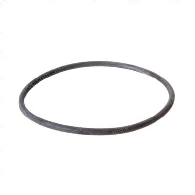 Picture of O-Ring