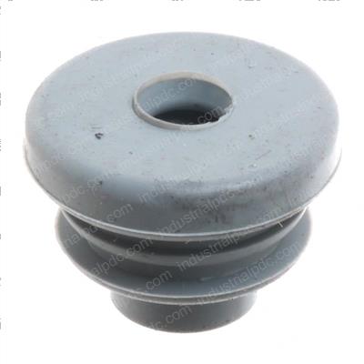 Picture of Seal