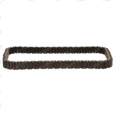 Picture of Chain - Pump Drive