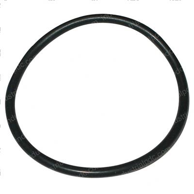 Picture of O-Ring