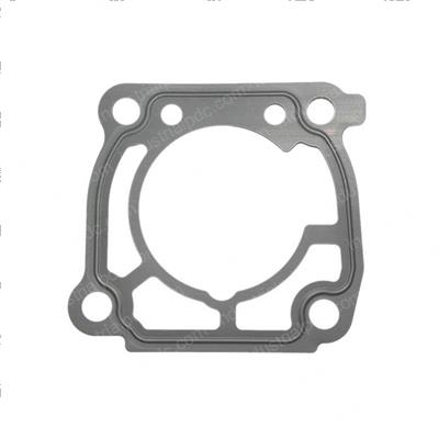 Picture of Gasket