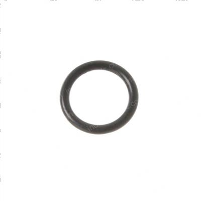 Picture of Seal
