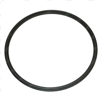 Picture of Seal - Quad Ring