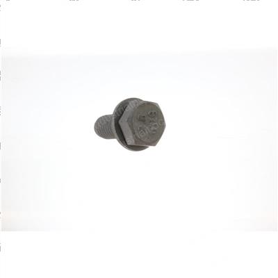 Picture of Capscrew With Washer
