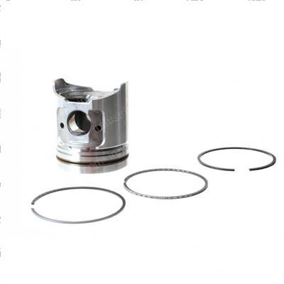 Picture of Piston With Rings - Standard