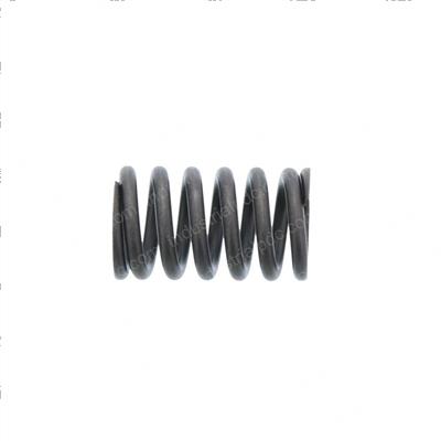 Picture of Spring Valve
