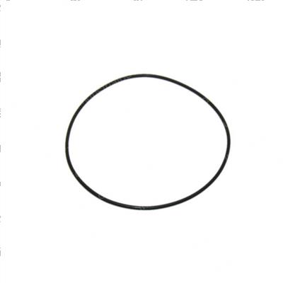 Picture of O-Ring