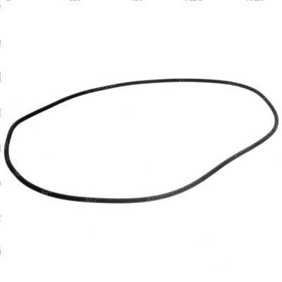 Picture of O-Ring