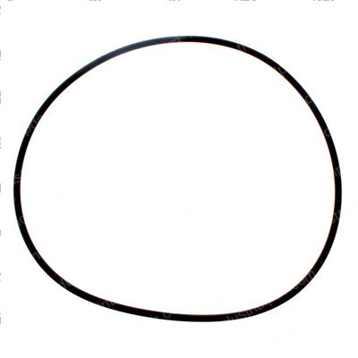 Picture of O-Ring