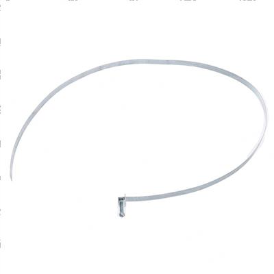 Picture of Strap