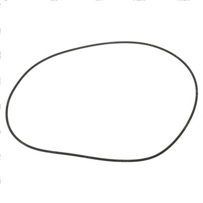 Picture of O-Ring