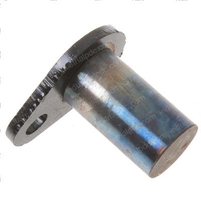 Picture of Pin