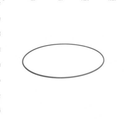 Picture of O-Ring