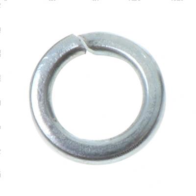 Picture of Spring Washer