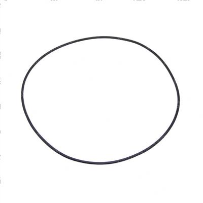 Picture of O-Ring