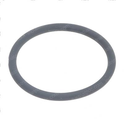 Picture of O-Ring