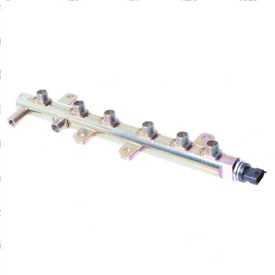 Picture of Manifold