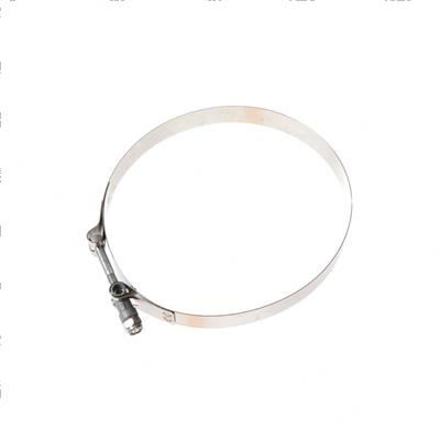 Picture of T Bolt Clamp