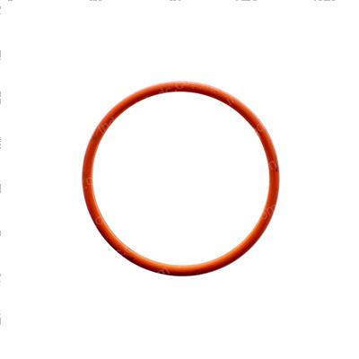 Picture of Seal